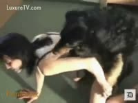 Brunette with diminutive love muffins copulates a dark doggy